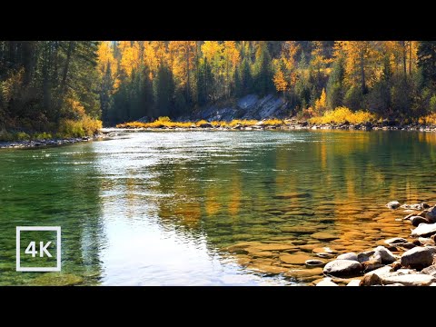 4K Autumn Forest River | Relaxing Nature Ambience | Peaceful Nature Sounds for Sleep | White Noise