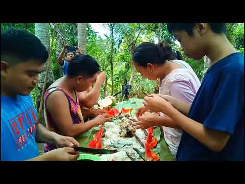 Boodle Fight & Harvesting lime