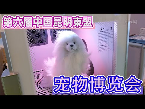 【ペット博】第六届中国昆明东盟宠物博览会・狗狗【いぬ編】