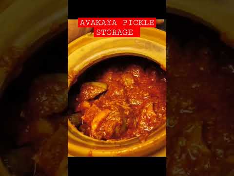 AVAKAYA PICKLE STORAGE #youtubeshorts #shortvideos #shortsvideo #ammapakashala #shot #shorts #short