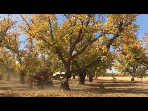 Valley Long Farms - 2017 Harvest