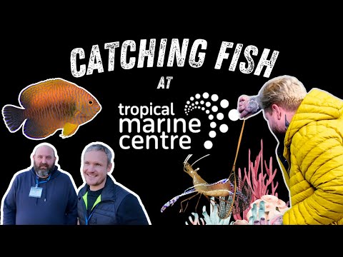 I Found My Dream Invertebrate At TMC | The UK's Largest Saltwater Aquarium Livestock Supplier