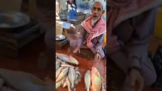 Ali Akbar Shah Goth | Machli Market | Mehmood Jamal Vlogs