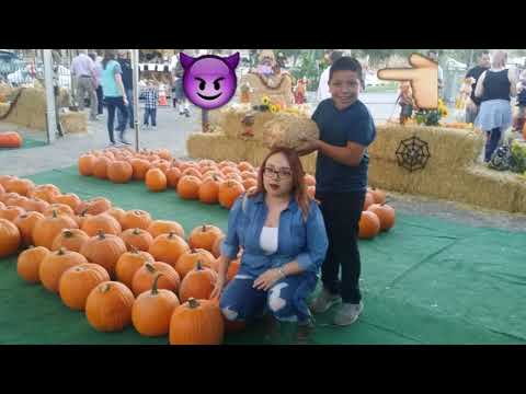 Pumpkin patch 2017