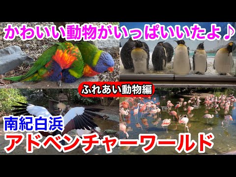 【白浜観光】かわいい動物が続々登場!! 南紀白浜 アドベンチャーワールド ふれあい動物編