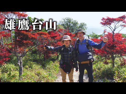 【雄鷹台山 (兵庫県赤穂市)】真っ赤なドウダンツツジの並木道。たった253mの低山なのに展望がすごい！／Mt.Otakadai (Ako City, Hyogo Prefecture)