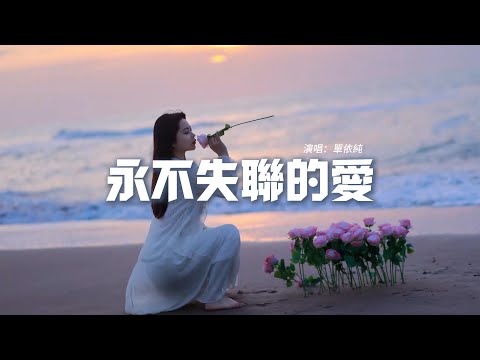 單依純 - 永不失聯的愛（原唱：Eric周興哲）『你是我 這一輩子都不想失聯的愛，何苦殘忍逼我把手輕輕放開。』【動態歌詞MV】