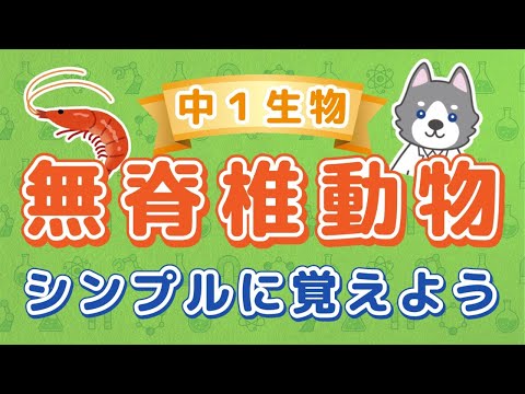 中1理科『無セキツイ動物の分類』