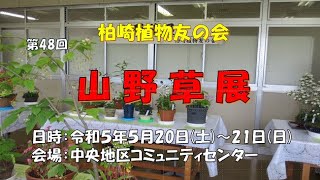 山野草展（柏崎植物友の会）