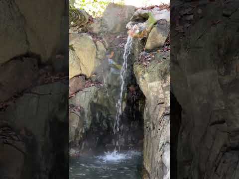 【富山の名湯】大牧温泉 観光旅館｜となみ野の温泉特集｜#Shorts