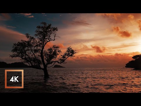 10 Hours, Ocean Sounds for Sleep and Study in Koh Chang Island, Sunset to Sunrise ASMR