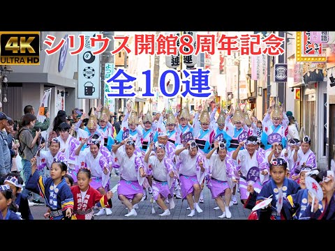 Sirius8thAnniversary★All 10 series★Awa Odori