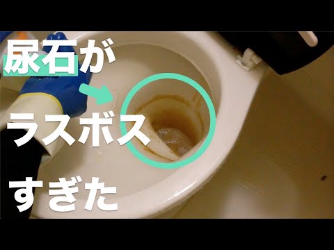 【閲覧注意】ラスボス尿石をトイレクリーニングで撃破