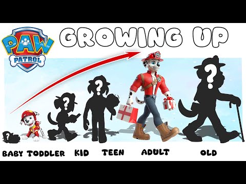 PAW Patrol 2024 New | Growing Up - Life After Happy Ending | Cartoon Wow