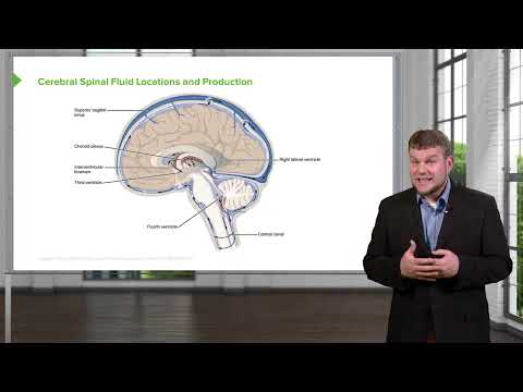 Circumventricular Organs CVO's and Cerebral Spinal Fluid