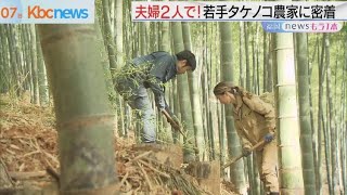 今が旬！合馬たけのこ　２年目の若手農家の大奮闘