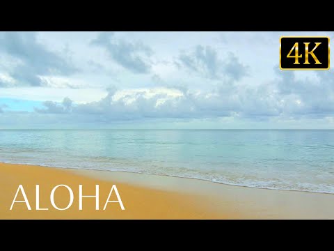 Serenity on the Beach: Relaxing Ocean Sounds for Relaxation, Sleep. Study & Meditation (4K UHD)