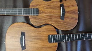 The Kala and Snail Solidbody Acacia Tenor Ukes compared. (contains sarcasm)