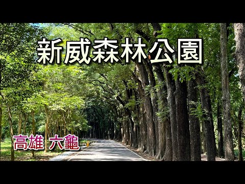 高雄六龜新威森林公園，天啊！第一次親眼看到快滿出來的魚群，數量多到真嚇人！