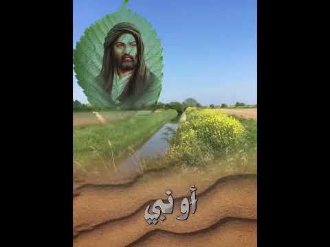 حكم واقوال الامام علي عليه السلام