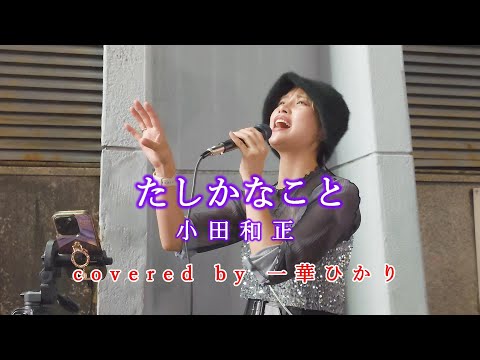 たしかなこと / 小田和正  covered by 《一華ひかり》※概要欄にツアー情報あり