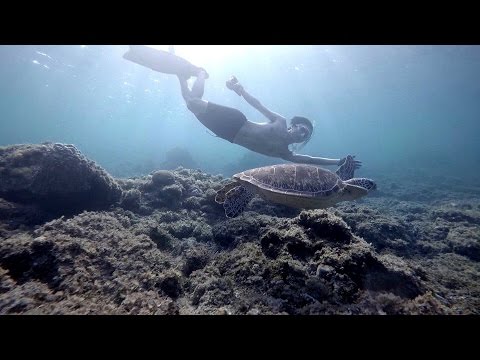 Freediving - Sunrise Diving with Turtles! - Okinawa, Aka Island, June 2015