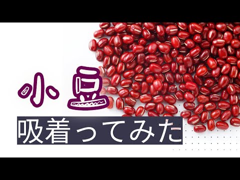 【吸着ってみた】小豆【コンバム】