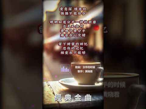 【黃曉君~分手的時候】懷舊老歌推薦 | 經典老歌 | Best Old Songs of Wong Shiau Chuen