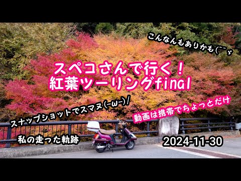 2024-11-30 スペコさん（スペイシー）で行く！再び紅葉ツーリングfinal