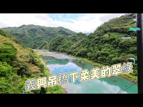 義興吊橋，電影賽德克巴萊「馬赫坡社吊橋」拍攝的地點。寧靜的竹林步道.v大漢溪溪流柔美的翠綠.@SINGFU