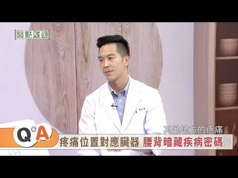 左上背痛要注意 恐是心肌梗塞！Left Back Pain: Heart Attack Warning?｜【#醫點就通】#｜#緯來育樂台｜#海芬 ft.#韓偉#蔡承儒｜2025.1.3