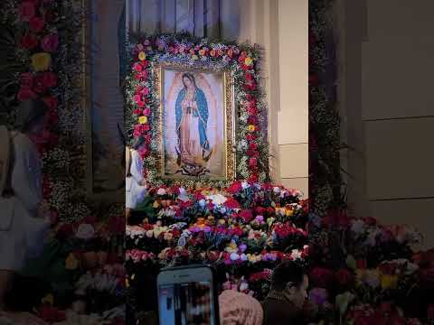 Nuestro querido Sacerdote colombiano  !!! Festejando a Nuestro bella Morenita Morenita Amén 🙏🙌