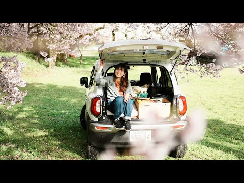 【車中泊】桜の名所&無料穴場🌸長野/高遠城址公園で満開お花見🌸