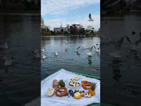 Birds flying in air / birds playing in water #shorts #birds #viral #water