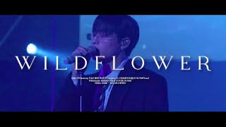 [4K] 241110 피원하모니 기호 WILDFLOWER(Billie Eilish) 직캠 | P1Harmony KEEHO Fancam | OLYMP1ece FANMEETING