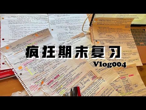 沉浸式学习vlog ｜人生只有100个300天啊！