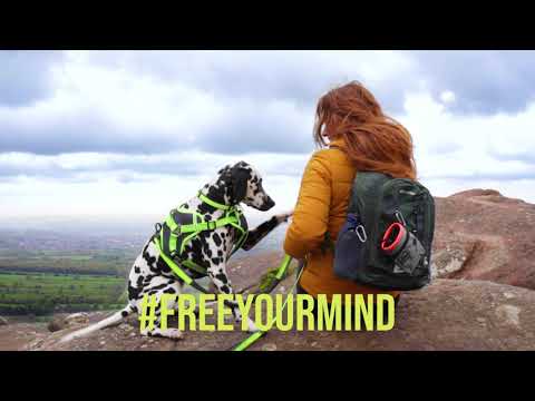 Explore Summer Together | 3 PEAKS | Pets at Home