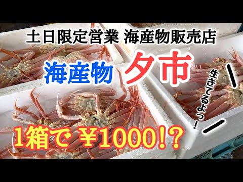 【北海道】白老町の海岸沿いにある『海産物夕市』へ！浜値ってすごい！超贅沢丼できた🙌