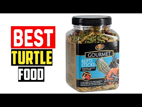 ✅Top 5 Best Turtle Food in 2024