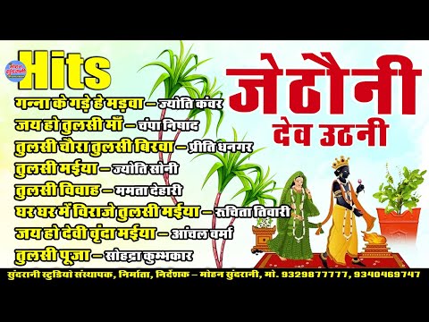 Tulsi Vivah || तुलसी विवाह || जेठौनी || Audio Jukebox || CG Song 2024