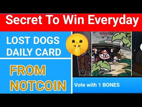 Lost Dogs Today Card - 🤫 TRICK TO WIN EVERY DAY 🤫 Lost Dogs Notcoin Card