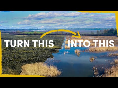 We are diverting a river into a field - here’s why