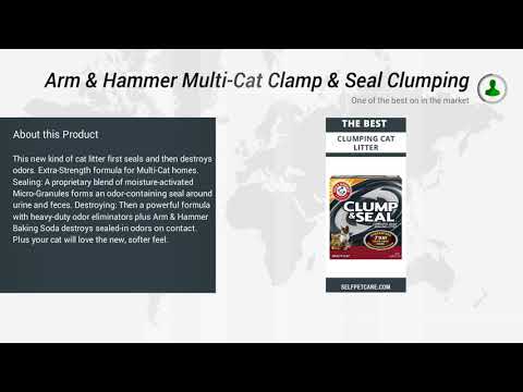 Arm & Hammer Multi Cat Clamp & Seal Clumping Litter