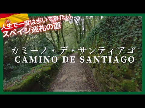 スペイン巡礼の道【カミーノ・デ・サンティアゴ 】ポルトガルからの道 Camino de Santiago 2023 Camino de Portugal