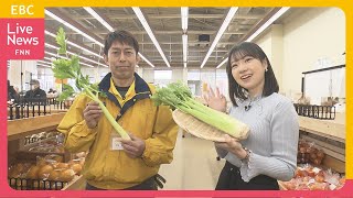 【セロリ】ベジ得　独特の香りとシャキっとした食感が特徴の「セロリ」