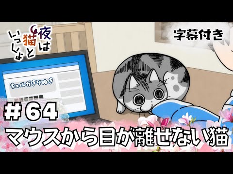 猫のキュルガ【夜は猫といっしょ:64夜目】(字幕付き)