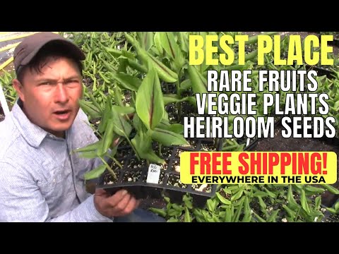 Best Online Source for Rare Fruits & Vegetable Plants & Heirloom Seeds