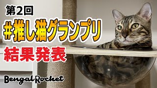 💛第2回推し猫グランプリ結果発表2021【ベンガルロケット】