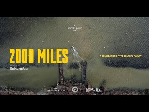 2000 Miles Official Trailer - Duck Hunting the Central Flyway