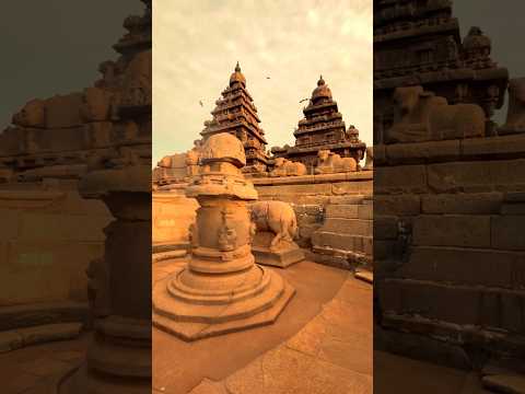 Marvellous View Of Shore Temple #shorts #youtubeshorts #trending